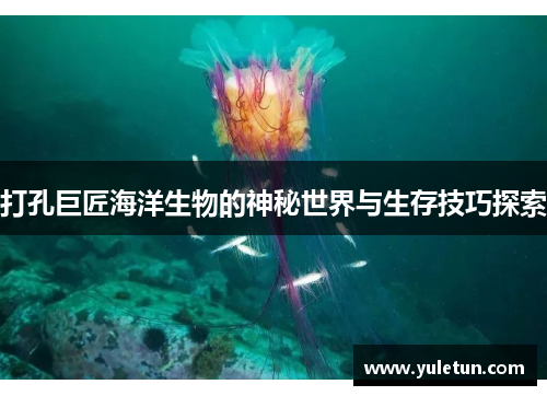 打孔巨匠海洋生物的神秘世界与生存技巧探索